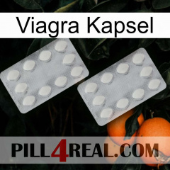 Viagra Capsule 17